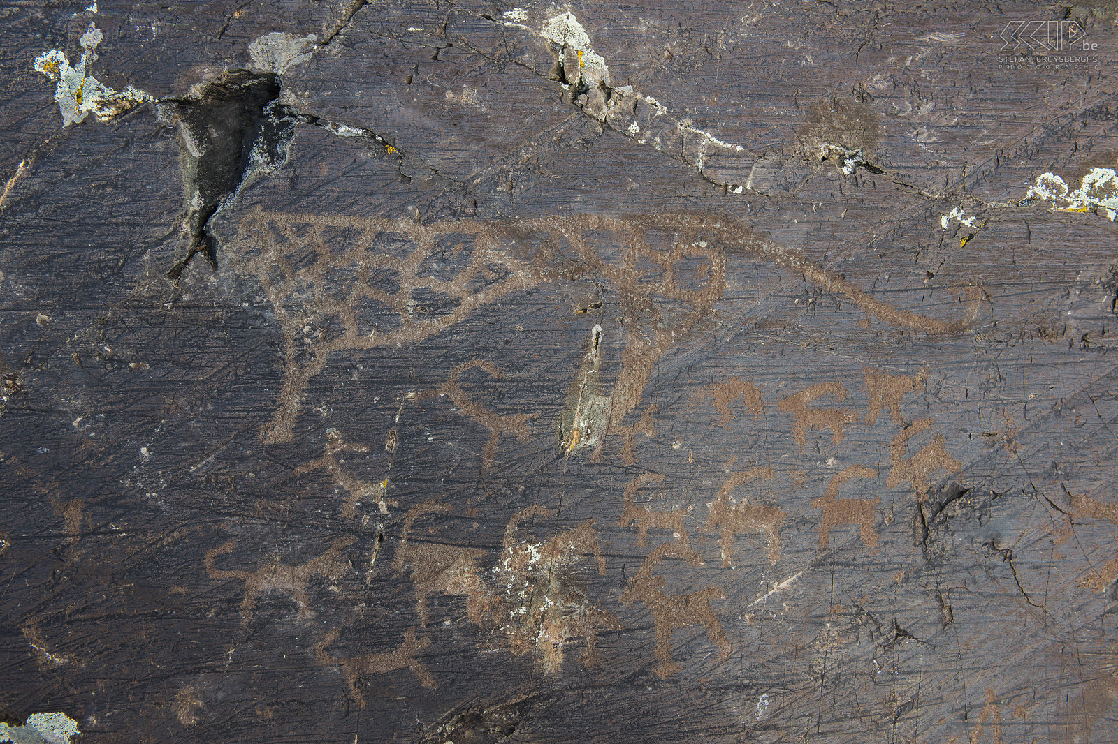 Altai Tavan Bogd - Prehistorische rotstekening Rotstekening van een sneeuw luipaard. Stefan Cruysberghs